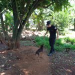 Terry, el perro rescatado que se convirtió en policía en Guaraní