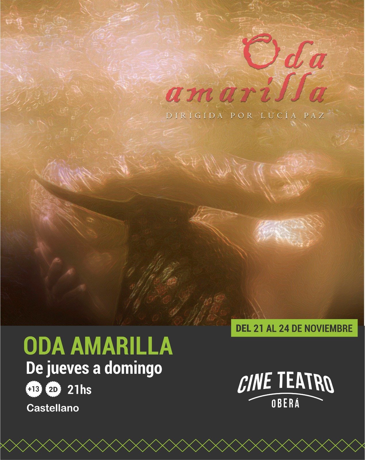 Nuevos Estrenos en el Cine Teatro Oberá – Espacio INCAA imagen-10