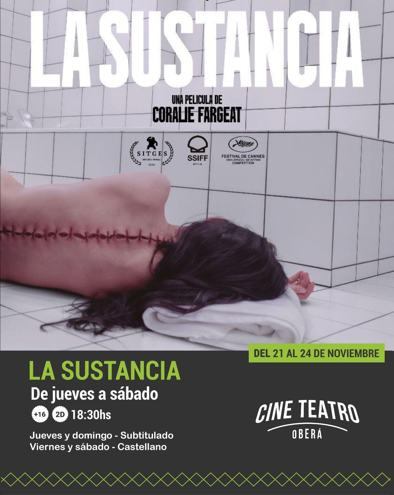 Nuevos Estrenos en el Cine Teatro Oberá – Espacio INCAA imagen-8