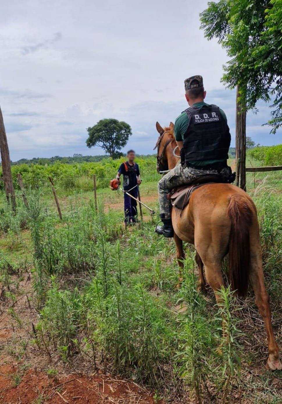 Operativo de prevención rural refuerza la seguridad en Campo Ramón y alrededores imagen-20