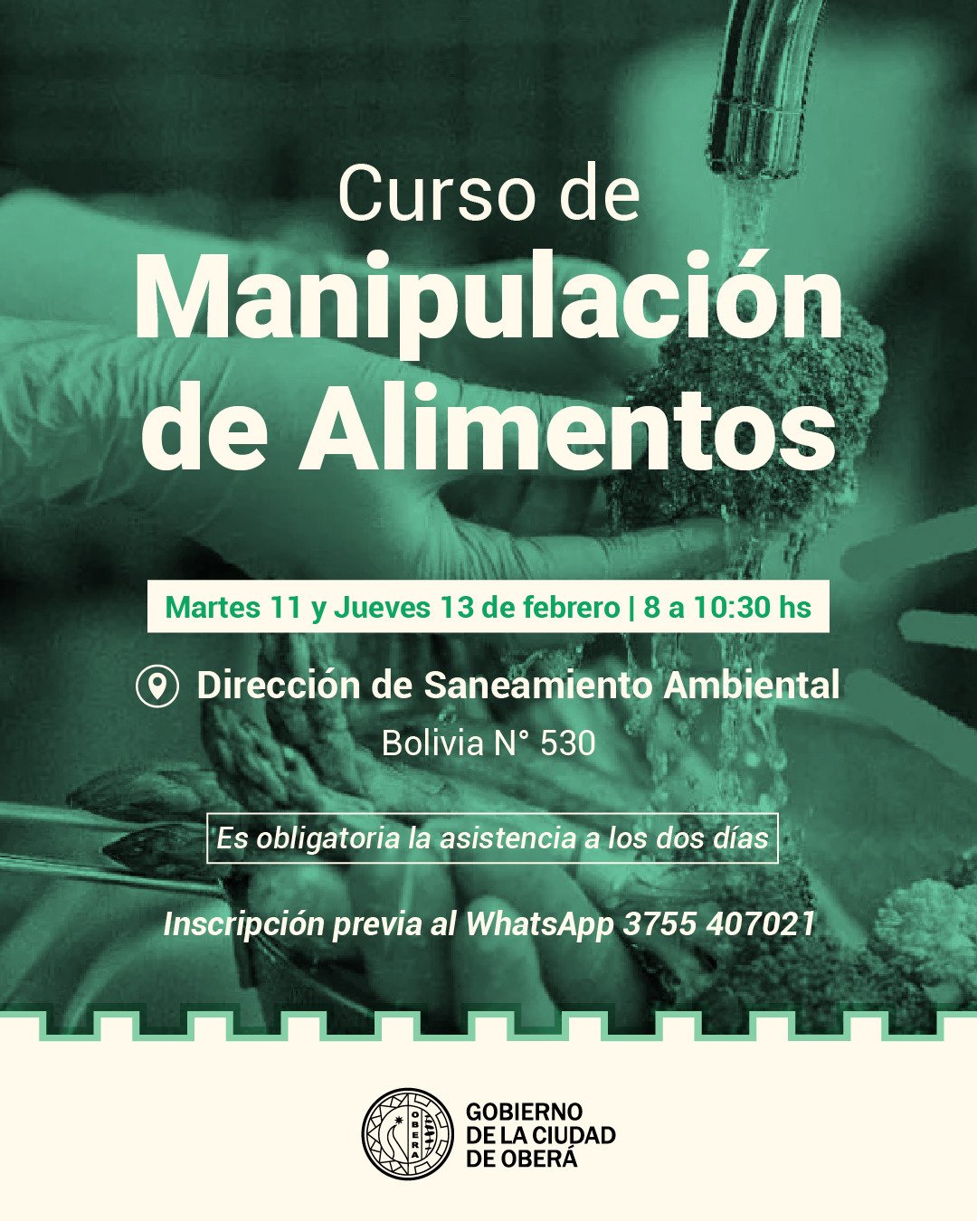 Curso de manipulación de alimentos imagen-6