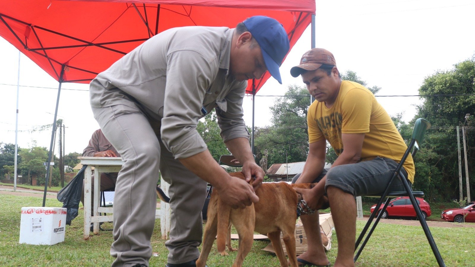 Descacharrización y salud animal durante el Operativo “Manos a la Obra” en el Barrio Km 0 imagen-6