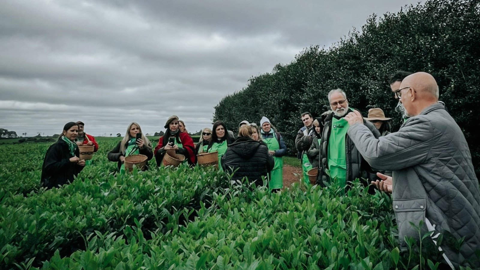 La Expo Té 2026 suma nuevas modalidades de visitas guiadas a establecimientos de té gourmet imagen-5