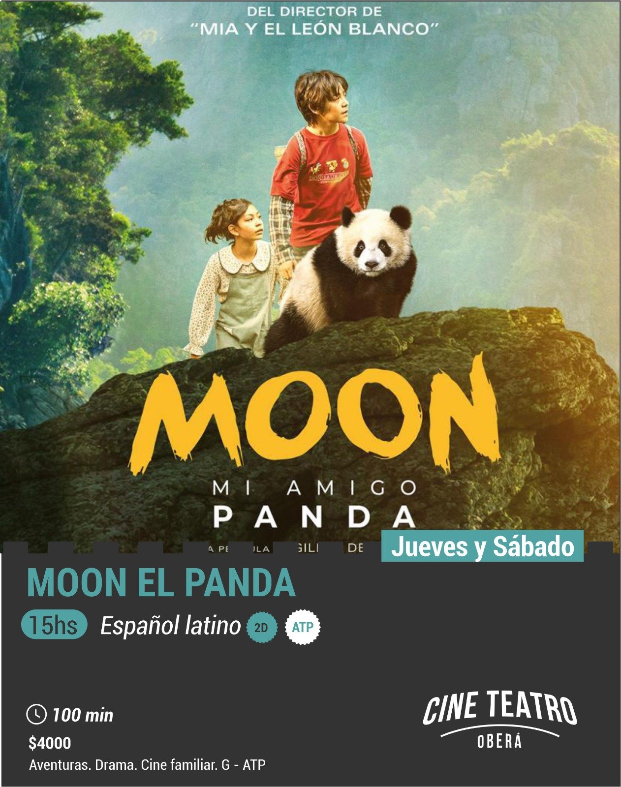 El Cine Teatro Oberá renueva su cartelera con propuestas para toda la familia y estrenos de terror imagen-6