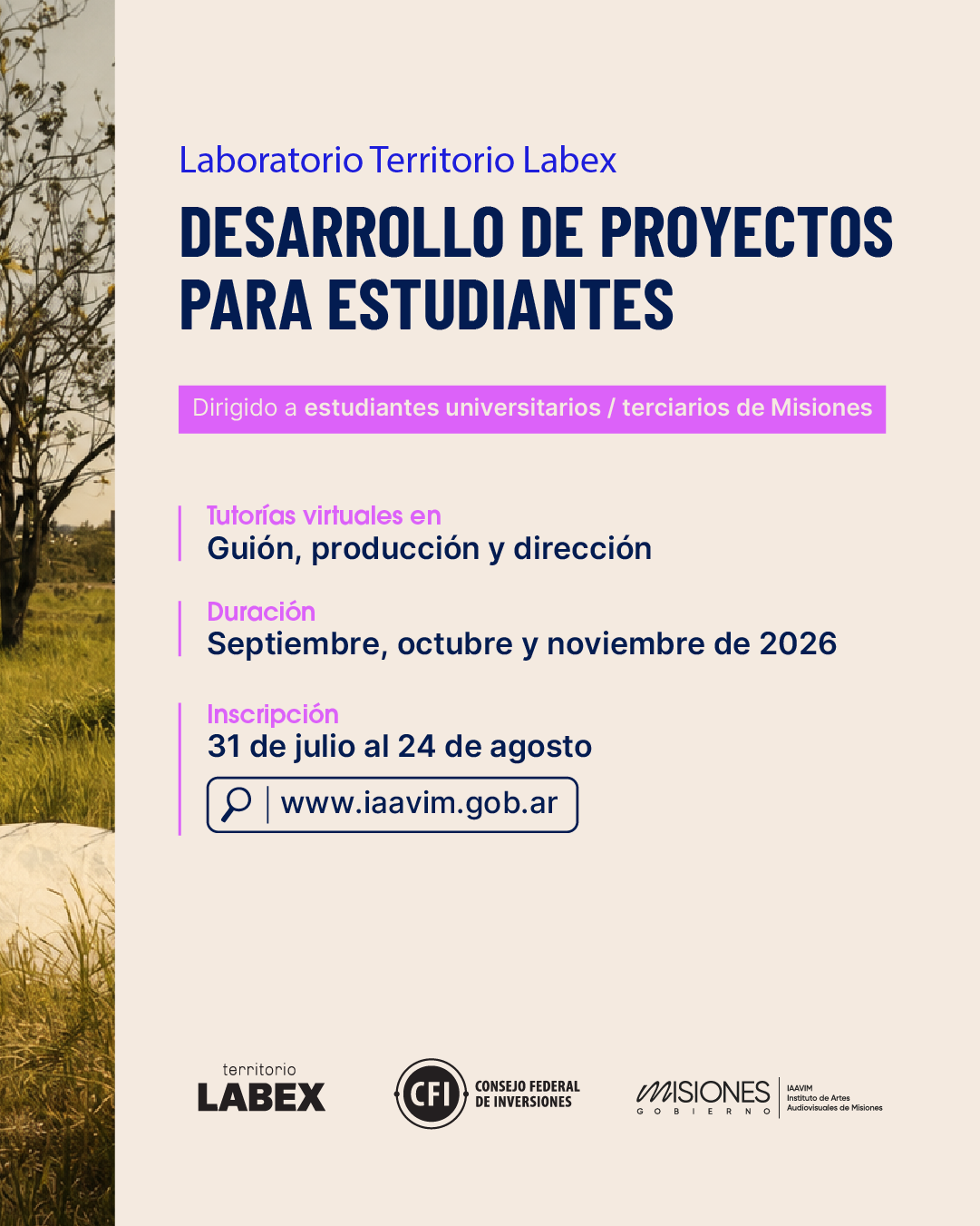 El IAAviM abre convocatoria a estudiantes misioneros 7 El IAAviM abre convocatoria a estudiantes misioneros imagen-6