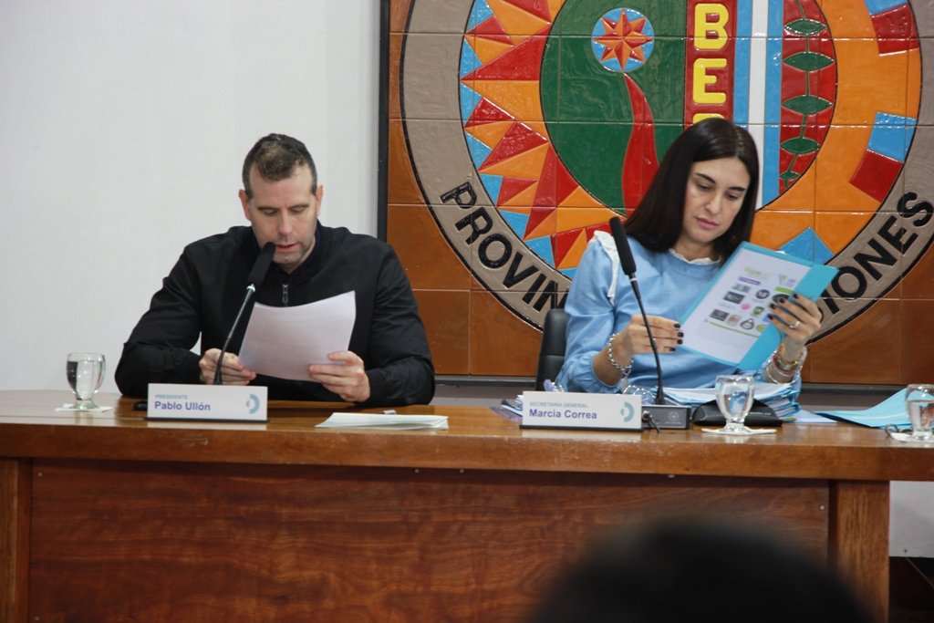 El Concejo Deliberante aprobó la renovación de las imágenes de las reinas de las colectividades en las plazoletas de Oberá imagen-6
